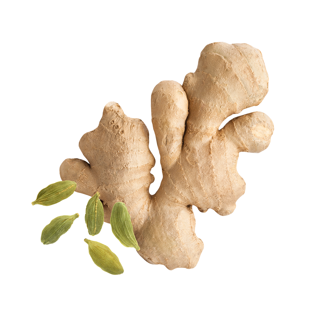 Ginger root and cardamom pods